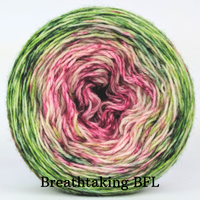 Knitcircus Yarns: Holly and Ivy Impressionist Gradient, ready to ship yarn