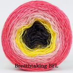 Knitcircus Yarns: Ready to Flamingle Panoramic Gradient, dyed to order yarn