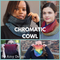 Chromatic Cowl Yarn Pack, pattern not included, dyed to order
