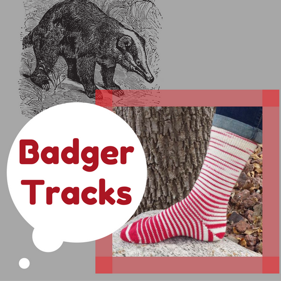 Badger tracks