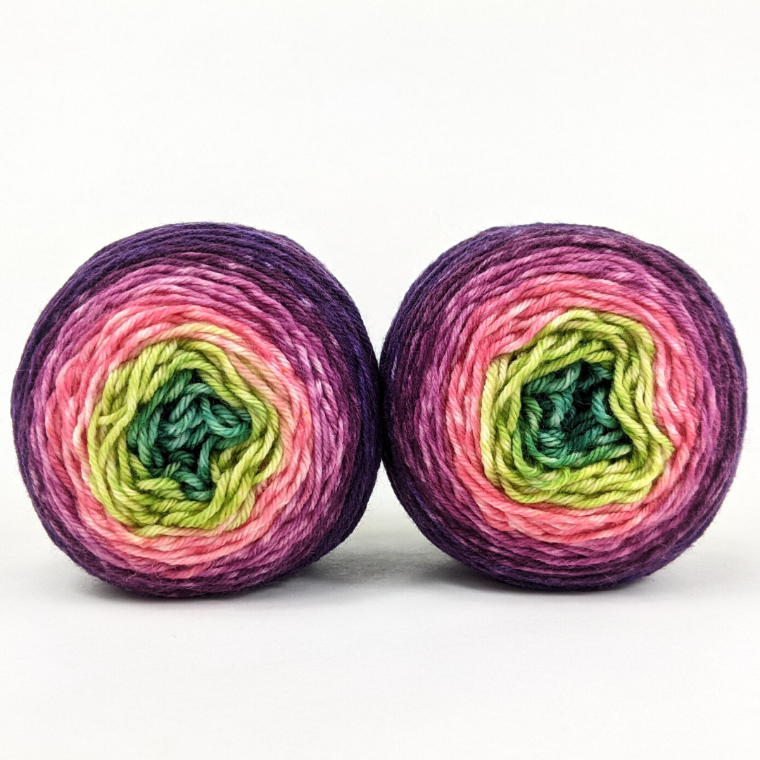 Knitcircus Yarns: Fowl Play Panoramic Gradient, dyed to order yarn