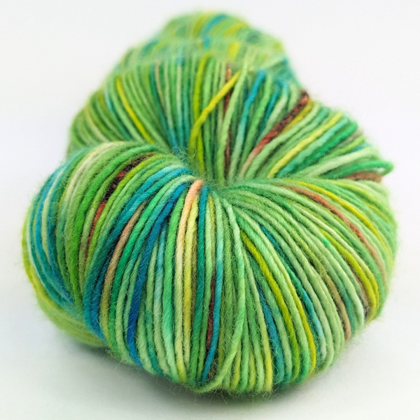 Knitcircus Yarns: One In Chameleon 100g Speckled Handpaint skein, Spectacular, ready to ship yarn