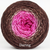 Knitcircus Yarns: Chocolate and Flowers Gradient, ready to ship yarn