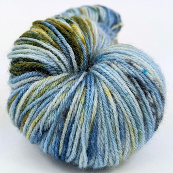 Knitcircus Yarns: You Can't Tuna Fish 100g Speckled Handpaint skein, Breathtaking BFL, ready to ship yarn