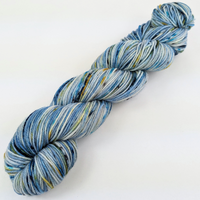 Knitcircus Yarns: You Can't Tuna Fish 100g Speckled Handpaint skein, Divine, ready to ship yarn