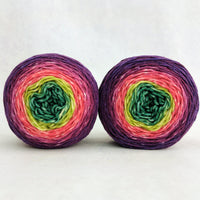 Knitcircus Yarns: Just Beet It Panoramic Gradient, ready to ship yarn