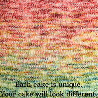 Knitcircus Yarns: Only Knitters in the Building 100g Impressionist Gradient, Trampoline, choose your cake, ready to ship yarn