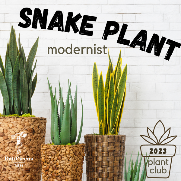 CLOSED- Plant Club: Snake Plant - 1 Package