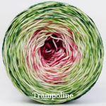 Knitcircus Yarns: Holly and Ivy Impressionist Gradient, ready to ship yarn