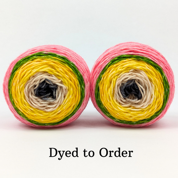 Knitcircus Yarns: Teacher's Pet Gradient, dyed to order yarn