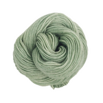 Knitcircus Yarns: Sage Advice 50g Kettle-Dyed Semi-Solid skein, Breathtaking BFL, ready to ship yarn