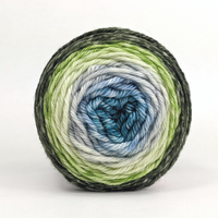 Knitcircus Yarns: Growing Like A Weed 50g Panoramic Gradient, Ringmaster, ready to ship yarn