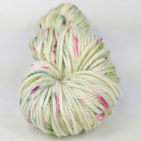 Knitcircus Yarns: Sleigh Ride 100g Speckled Handpaint skein, Ringmaster, ready to ship yarn