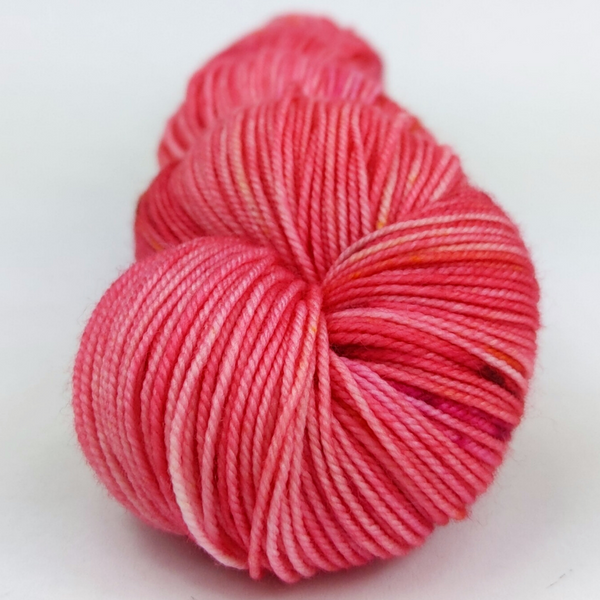 Knitcircus Yarns: Fame and Fortune 100g Speckled Handpaint skein, Trampoline, ready to ship yarn
