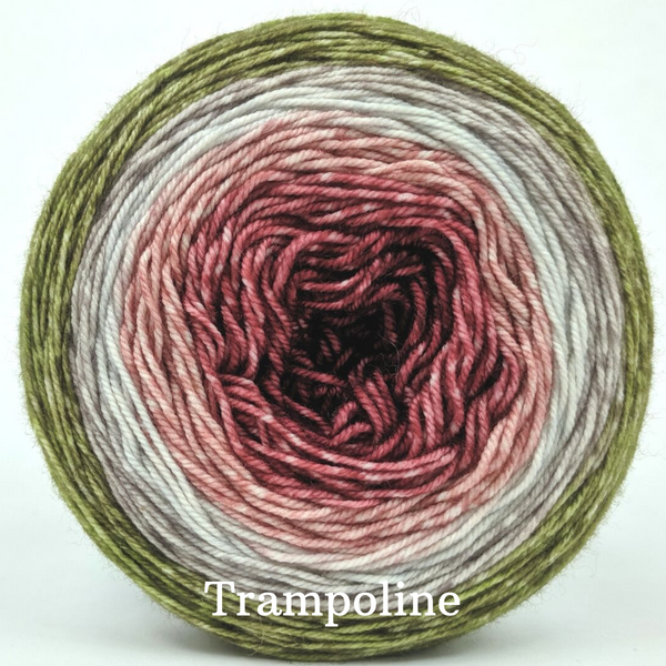 Knitcircus Yarns: Apple of My Pie Panoramic Gradient, dyed to order yarn