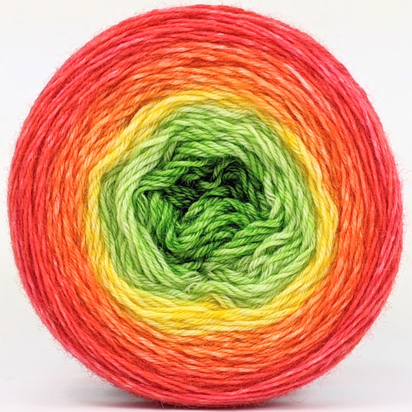 Knitcircus Yarns: The Whole Enchilada 100g Panoramic Gradient, Breathtaking BFL, ready to ship