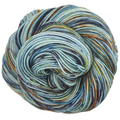Knitcircus Yarns: Salty Spitoon 100g Speckled Handpaint skein, Trampoline, ready to ship yarn
