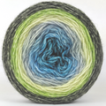 Knitcircus Yarns: Growing Like A Weed 100g Panoramic Gradient, Breathtaking BFL, ready to ship yarn