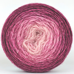 Knitcircus Yarns: A Rose by Any Other Name 100g Chromatic Gradient, Breathtaking BFL, ready to ship yarn