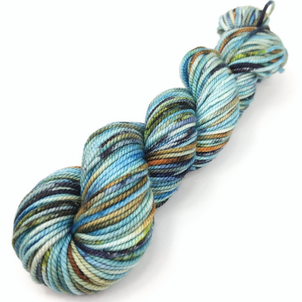 Knitcircus Yarns: Salty Spitoon 100g Speckled Handpaint skein, Tremendous, ready to ship yarn