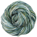 Knitcircus Yarns: Where The Wild Yarns Are 100g Handpainted skein, Spectacular, ready to ship yarn