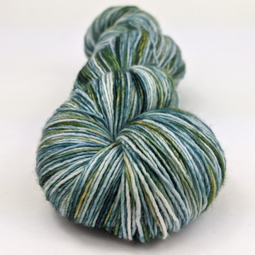Knitcircus Yarns: Where The Wild Yarns Are 100g Handpainted skein, Spectacular, ready to ship yarn