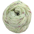 Knitcircus Yarns: Sleigh Ride 100g Speckled Handpaint skein, Divine, ready to ship yarn
