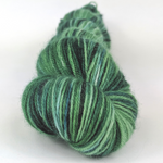 Knitcircus Yarns: Spruced Up 100g Speckled Handpaint skein, Breathtaking BFL, ready to ship yarn