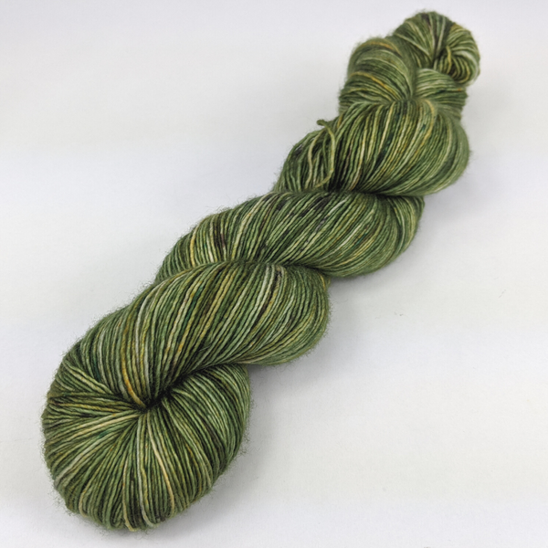 Knitcircus Yarns: Slow and Steady 100g Speckled Handpaint skein, Spectacular, ready to ship yarn