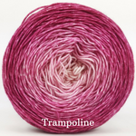 Knitcircus Yarns: A Rose by Any Other Name Gradient, dyed to order yarn