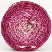 Knitcircus Yarns: A Rose by Any Other Name Gradient, dyed to order yarn