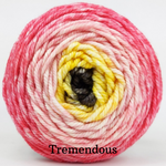 Knitcircus Yarns: Ready to Flamingle Panoramic Gradient, dyed to order yarn