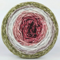 Knitcircus Yarns: Apple of My Pie 100g Panoramic Gradient, Greatest of Ease, ready to ship yarn
