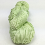 Knitcircus Yarns: Honeydew 100g Kettle-Dyed Semi-Solid skein, Parasol, ready to ship yarn
