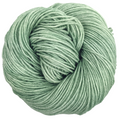Knitcircus Yarns: Sage Advice 100g Kettle-Dyed Semi-Solid skein, Divine, ready to ship yarn