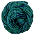 Knitcircus Yarns: Entmoot 100g Speckled Handpaint skein, Ringmaster, ready to ship yarn - SALE