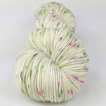 Knitcircus Yarns: Sleigh Ride 100g Speckled Handpaint skein, Trampoline, ready to ship yarn