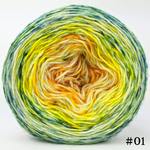 Knitcircus Yarns: Here Comes the Sun 100g Impressionist Gradient, Breathtaking BFL, choose your cake, ready to ship yarn