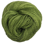 Knitcircus Yarns: In a Pickle 100g Kettle-Dyed Semi-Solid skein, Daring, ready to ship yarn