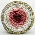 Knitcircus Yarns: Apple of My Pie 100g Panoramic Gradient, Tremendous, ready to ship