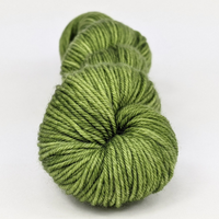Knitcircus Yarns: In a Pickle 100g Kettle-Dyed Semi-Solid skein, Daring, ready to ship yarn