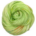 Knitcircus Yarns: In the Limelight 100g Speckled Handpaint skein, Opulence, ready to ship yarn