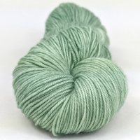 Knitcircus Yarns: Sage Advice 100g Kettle-Dyed Semi-Solid skein, Greatest of Ease, ready to ship yarn