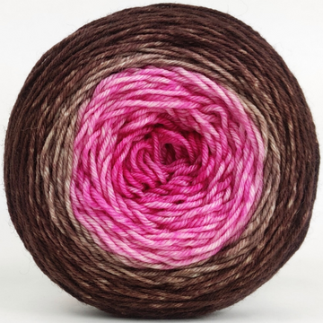 Knitcircus Yarns: Chocolate and Flowers 100g Panoramic Gradient, Divine, ready to ship yarn