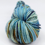 Knitcircus Yarns: Salty Spitoon 100g Speckled Handpaint skein, Divine, ready to ship yarn