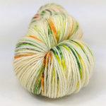Knitcircus Yarns: The Last Homely House 100g Speckled Handpaint skein, Breathtaking BFL, ready to ship yarn