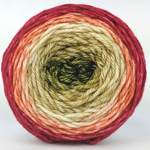 Knitcircus Yarns: Spice Spice Baby 100g Panoramic Gradient, Ringmaster, ready to ship yarn