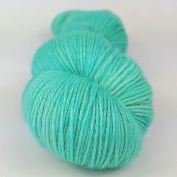 Knitcircus Yarns: Crowd Surfing 100g Kettle-Dyed Semi-Solid skein, Breathtaking BFL, ready to ship yarn