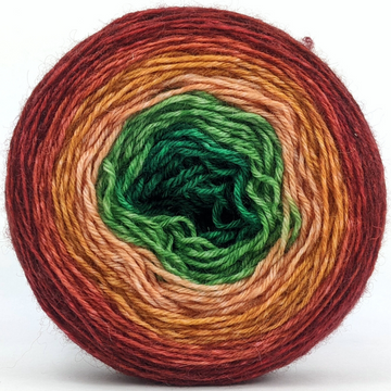 Knitcircus Yarns: Old Fashioned Christmas 100g Panoramic Gradient, Breathtaking BFL, ready to ship