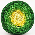 Knitcircus Yarns: My Cabbages! 100g Panoramic Gradient, Ringmaster, ready to ship yarn